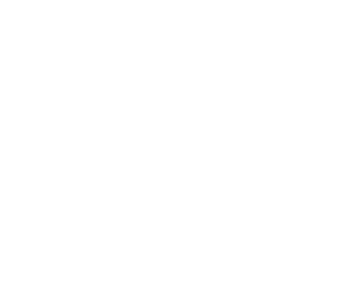 A+ Bail Bonds Orange County Logo