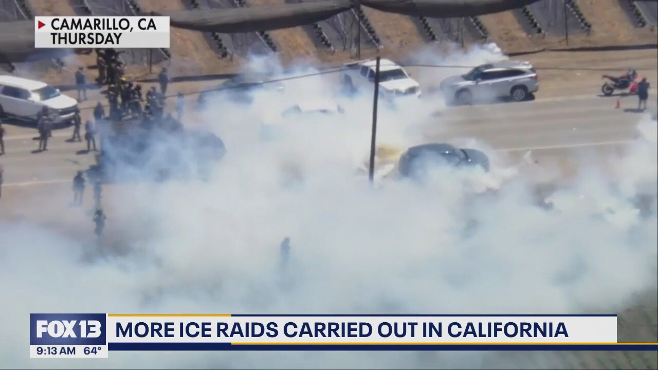 showing a photo of fox 2 while talking about orange county bail bonds